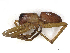  ( - CBG-A25913-H11)  @11 [ ] CreativeCommons - Attribution Share - Alike (2024) CBG Photography Group Centre for Biodiversity Genomics
