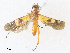  ( - CBG-A30068-C09)  @11 [ ] CreativeCommons - Attribution Share - Alike (2024) CBG Photography Group Centre for Biodiversity Genomics