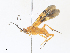  ( - CBG-A30068-C10)  @11 [ ] CreativeCommons - Attribution Share - Alike (2024) CBG Photography Group Centre for Biodiversity Genomics