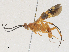  ( - CBG-A30070-D01)  @11 [ ] CreativeCommons - Attribution Share - Alike (2024) CBG Photography Group Centre for Biodiversity Genomics