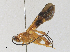  ( - CBG-A30070-D04)  @11 [ ] CreativeCommons - Attribution Share - Alike (2024) CBG Photography Group Centre for Biodiversity Genomics