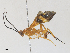  ( - CBG-A30070-D06)  @11 [ ] CreativeCommons - Attribution Share - Alike (2024) CBG Photography Group Centre for Biodiversity Genomics