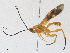 ( - CBG-A30070-D07)  @11 [ ] CreativeCommons - Attribution Share - Alike (2024) CBG Photography Group Centre for Biodiversity Genomics
