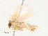  ( - CBG-A30097-H05)  @11 [ ] CreativeCommons - Attribution Share - Alike (2024) CBG Photography Group Centre for Biodiversity Genomics