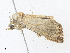  ( - CBG-A30101-A11)  @11 [ ] CreativeCommons - Attribution Share - Alike (2024) CBG Photography Group Centre for Biodiversity Genomics
