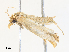  ( - CBG-A30101-C01)  @11 [ ] CreativeCommons - Attribution Share - Alike (2024) CBG Photography Group Centre for Biodiversity Genomics