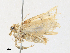  ( - CBG-A30101-C04)  @11 [ ] CreativeCommons - Attribution Share - Alike (2024) CBG Photography Group Centre for Biodiversity Genomics