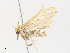  ( - CBG-A30101-D04)  @11 [ ] CreativeCommons - Attribution Share - Alike (2024) CBG Photography Group Centre for Biodiversity Genomics