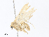  ( - CBG-A30101-D12)  @11 [ ] CreativeCommons - Attribution Share - Alike (2024) CBG Photography Group Centre for Biodiversity Genomics