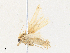  ( - CBG-A30101-E02)  @11 [ ] CreativeCommons - Attribution Share - Alike (2024) CBG Photography Group Centre for Biodiversity Genomics