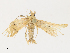  ( - CBG-A30101-G05)  @11 [ ] CreativeCommons - Attribution Share - Alike (2024) CBG Photography Group Centre for Biodiversity Genomics