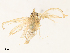  ( - CBG-A30101-H06)  @11 [ ] CreativeCommons - Attribution Share - Alike (2024) CBG Photography Group Centre for Biodiversity Genomics