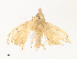  ( - CBG-A30101-H08)  @11 [ ] CreativeCommons - Attribution Share - Alike (2024) CBG Photography Group Centre for Biodiversity Genomics