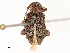  ( - CBG-A58588-G05)  @11 [ ] CreativeCommons - Attribution Share-Alike (2024) CBG Photography Group Centre for Biodiversity Genomics