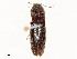  ( - CBG-A58643-F08)  @11 [ ] CreativeCommons - Attribution Share - Alike (2024) CBG Photography Group Centre for Biodiversity Genomics