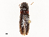  ( - CBG-A58644-B02)  @11 [ ] CreativeCommons - Attribution Share - Alike (2025) CBG Photography Group Centre for Biodiversity Genomics