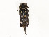  ( - CBG-A58591-E02)  @11 [ ] CreativeCommons - Attribution Share - Alike (2025) CBG Photography Group Centre for Biodiversity Genomics
