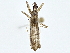  ( - BIOUG79404-E08)  @11 [ ] CreativeCommons - Attribution (2022) CBG Photography Group Centre for Biodiversity Genomics