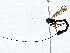  ( - BIOUG79404-F10)  @11 [ ] CreativeCommons - Attribution (2022) CBG Photography Group Centre for Biodiversity Genomics