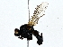  ( - BIOUG79410-C10)  @11 [ ] CreativeCommons - Attribution (2022) CBG Photography Group Centre for Biodiversity Genomics