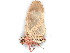  ( - BIOUG09160-E07)  @11 [ ] CreativeCommons - Attribution (2023) CBG Photography Group Centre for Biodiversity Genomics