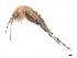  ( - CBG-A45179-H05)  @11 [ ] CreativeCommons - Attribution (2024) CBG Photography Group Centre for Biodiversity Genomics