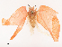  ( - CBG-A48602-C12)  @11 [ ] CreativeCommons - Attribution Share - Alike (2024) CBG Photography Group Centre for Biodiversity Genomics