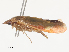  ( - CBG-A51001-A07)  @11 [ ] CreativeCommons - Attribution Share - Alike (2024) CBG Photography Group Centre for Biodiversity Genomics