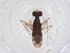  (Erianotoides - CBG-A49925-C09)  @11 [ ] CreativeCommons - Attribution Share - Alike (2024) Centre for Biodiversity Genomics Centre for Biodiversity Genomics