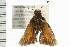 ( - 08BBLEP-01661)  @12 [ ] CreativeCommons - Attribution (2008) Unspecified Centre for Biodiversity Genomics