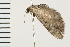  ( - 08BBLEP-01426)  @12 [ ] CreativeCommons - Attribution (2008) Unspecified Centre for Biodiversity Genomics