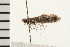  ( - 08BBLEP-01482)  @13 [ ] CreativeCommons - Attribution (2008) Unspecified Centre for Biodiversity Genomics