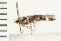  ( - 08BBLEP-01493)  @12 [ ] CreativeCommons - Attribution (2008) Unspecified Centre for Biodiversity Genomics