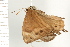  ( - 08BBLEP-02782)  @12 [ ] CreativeCommons - Attribution (2008) Unspecified Centre for Biodiversity Genomics