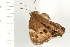  ( - 08BBLEP-02785)  @12 [ ] CreativeCommons - Attribution (2008) Unspecified Centre for Biodiversity Genomics