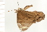  ( - 08BBLEP-02787)  @12 [ ] CreativeCommons - Attribution (2008) Unspecified Centre for Biodiversity Genomics