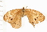  ( - 08BBLEP-02789)  @12 [ ] CreativeCommons - Attribution (2008) Unspecified Centre for Biodiversity Genomics