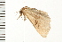  ( - 08BBLEP-00863)  @12 [ ] CreativeCommons - Attribution (2008) Unspecified Centre for Biodiversity Genomics