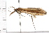  ( - 08BBLEP-05425)  @12 [ ] CreativeCommons - Attribution (2009) Unspecified Centre for Biodiversity Genomics