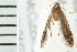  ( - 08BBLEP-05893)  @11 [ ] CreativeCommons - Attribution (2009) Unspecified Centre for Biodiversity Genomics