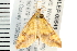  ( - 08BBLEP-05549)  @13 [ ] CreativeCommons - Attribution (2009) Unspecified Centre for Biodiversity Genomics