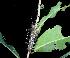  ( - MLL-00291)  @13 [ ] Unspecified (default): All Rights Reserved  Unspecified Unspecified