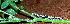  ( - MLL-00454)  @12 [ ] Unspecified (default): All Rights Reserved  Unspecified Unspecified