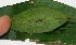  ( - MLL-01425)  @12 [ ] Unspecified (default): All Rights Reserved  Unspecified Unspecified