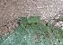  ( - MLL-00426)  @12 [ ] Unspecified (default): All Rights Reserved  Unspecified Unspecified