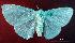  (Arctornis nr. intacta - USNM ENT 00456016)  @14 [ ] Unspecified (default): All Rights Reserved  Unspecified Unspecified
