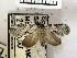  ( - USNM ENT 00509797)  @13 [ ] Unspecified (default): All Rights Reserved  Unspecified Unspecified