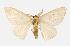  ( - USNM ENT 00733728)  @13 [ ] Unspecified (default): All Rights Reserved  Unspecified Unspecified