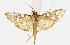  ( - USNM ENT 00194755)  @14 [ ] Unspecified (default): All Rights Reserved  Unspecified Unspecified