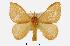  ( - USNM ENT 00194886)  @14 [ ] Unspecified (default): All Rights Reserved  Unspecified Unspecified